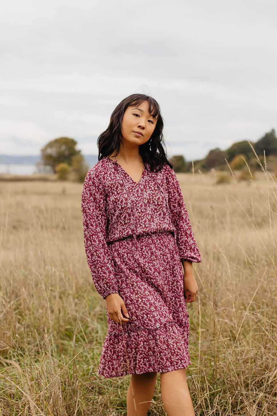 Ashley Dress in Cherry