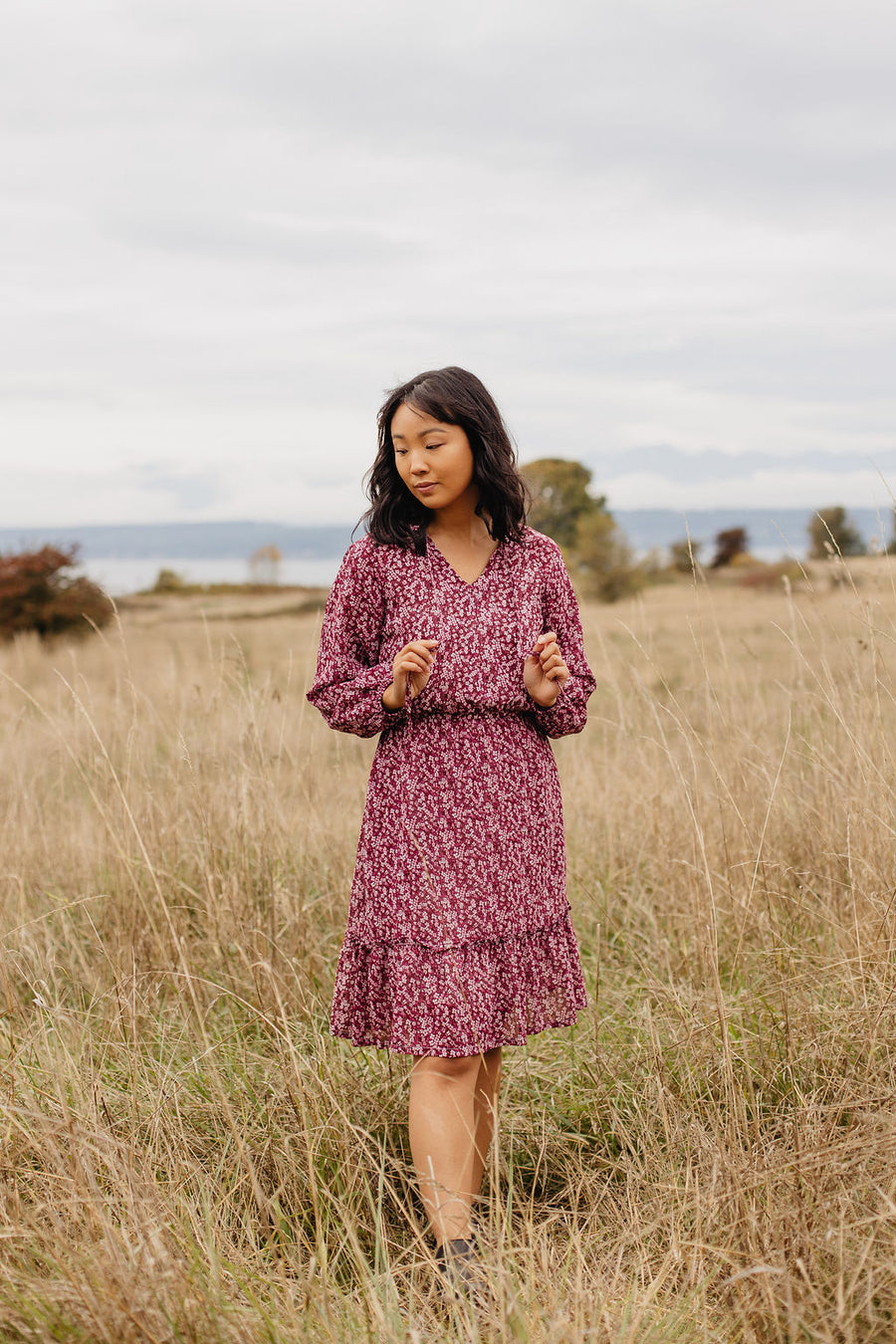 Ashley Dress in Cherry